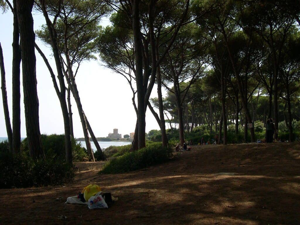 Boschetto di Torre Astura