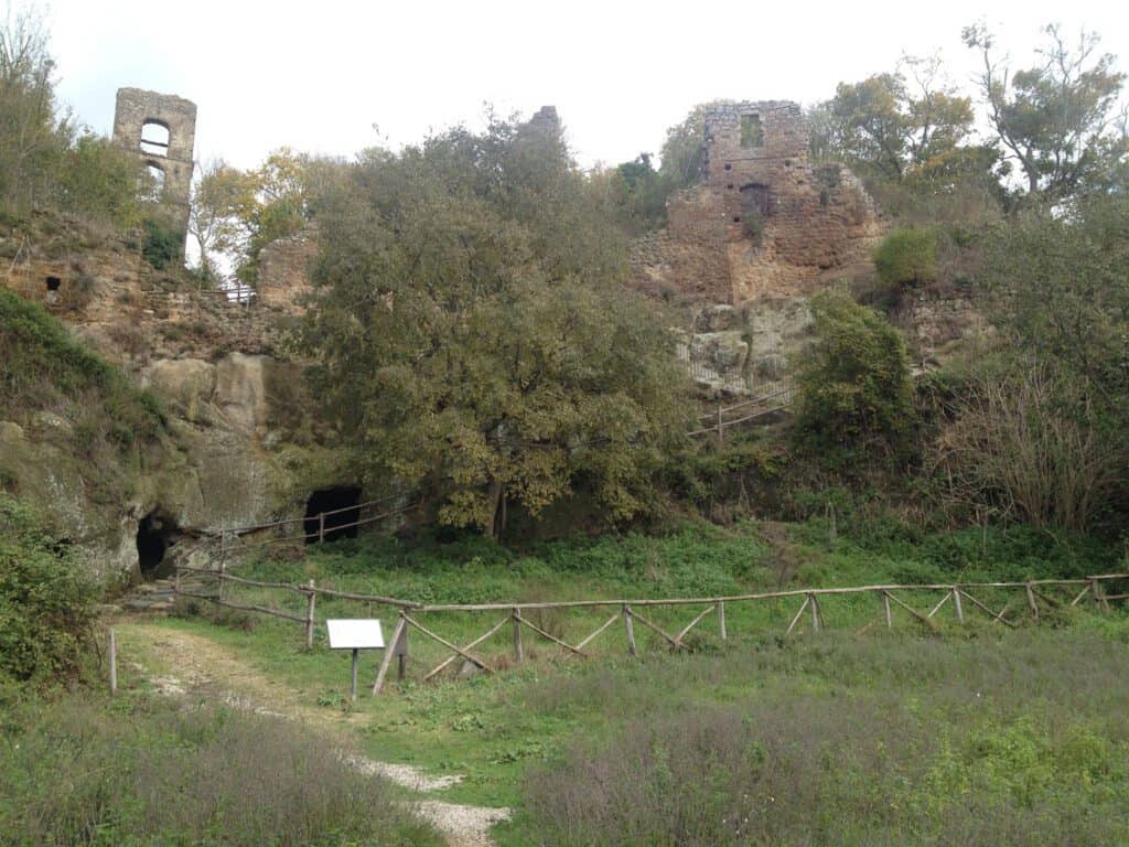 Bosco Macchia Grande (Manziana)