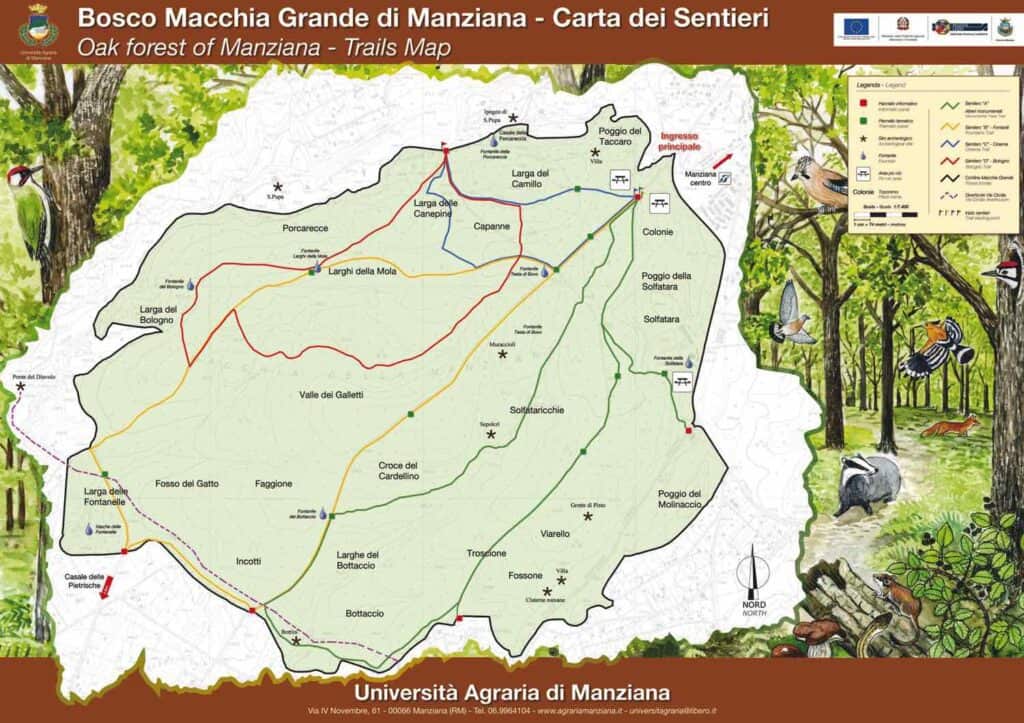 Bosco Macchia Grande (Manziana)