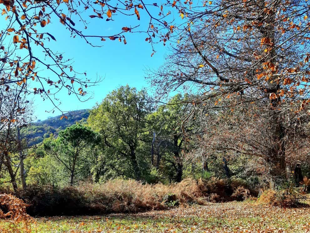 Castagneto Prenestino