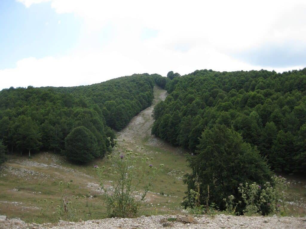 Monte Livata