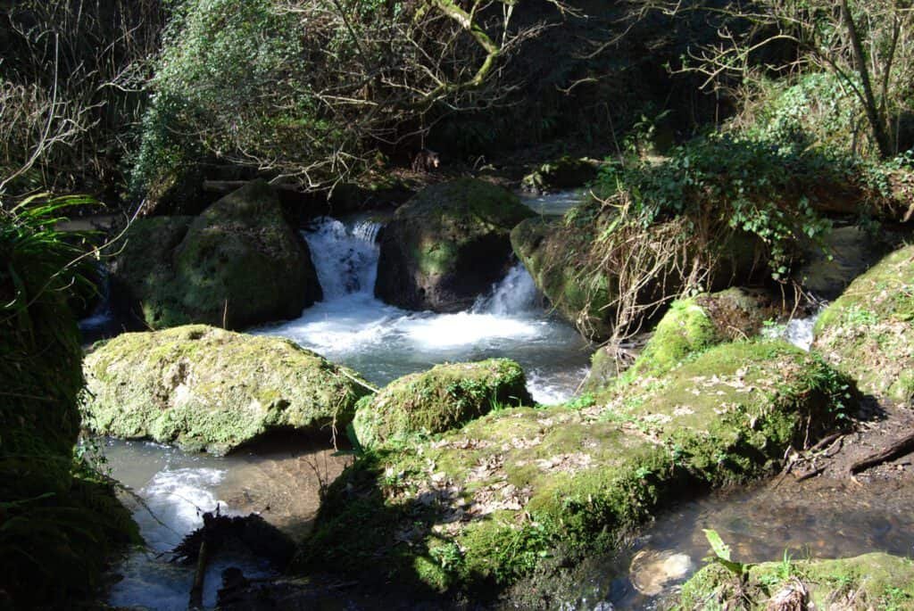Monumento Naturale delle Forre di Corchiano - Viterbo