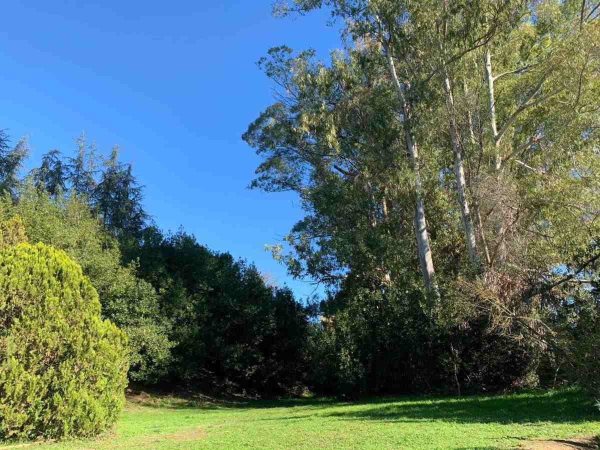 Parco della Cellulosa