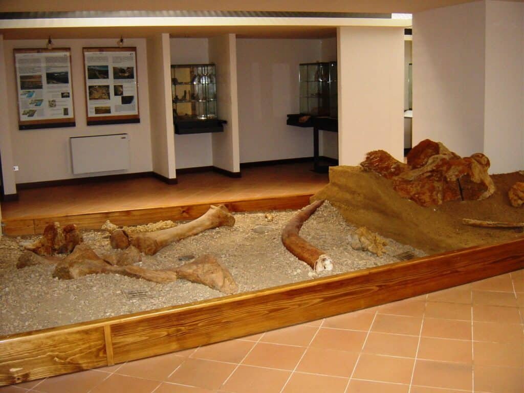Museo civico preistorico "Pietro Fedele"