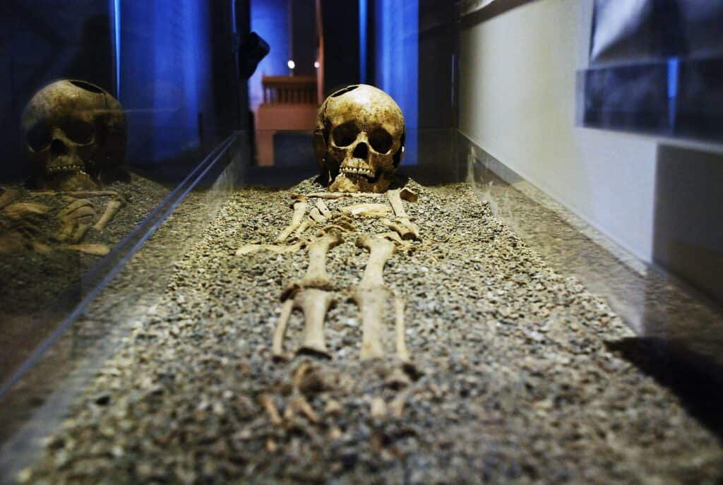 Museo di storia della medicina - La Sapienza