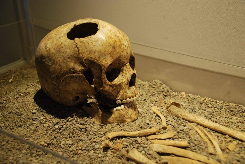 Museo di storia della medicina