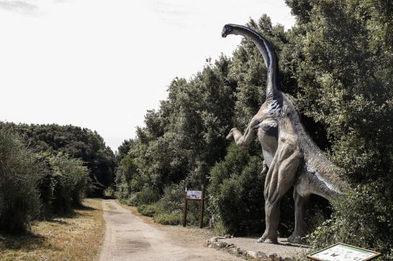 Macchiagrande – Oasi WWF