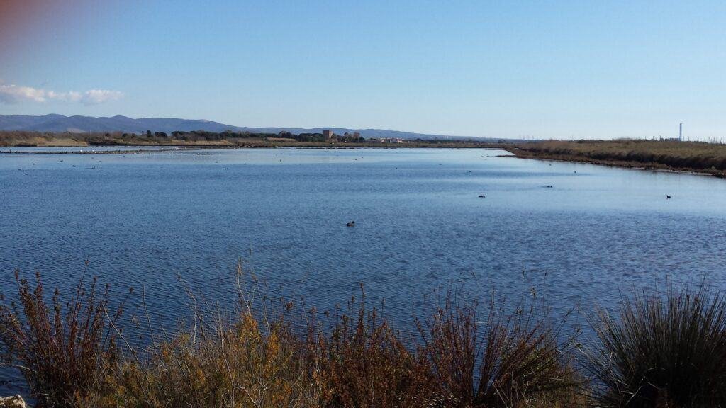 Oasi naturale Saline di Tarquinia