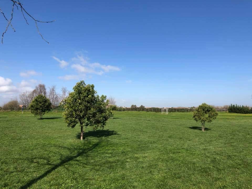 Parco Della Mistica