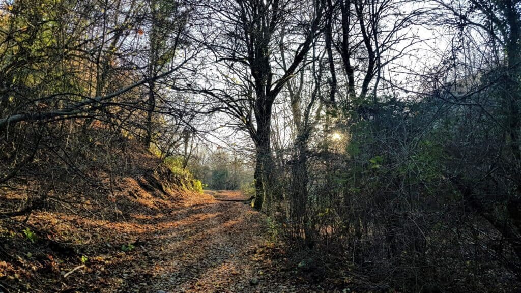 Parco Naturale Regionale dei Monti Lucretili