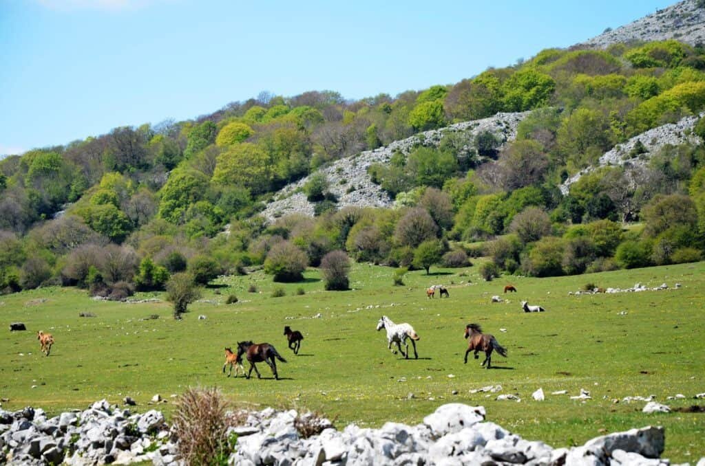 Parco Naturale Regionale dei Monti Lucretili