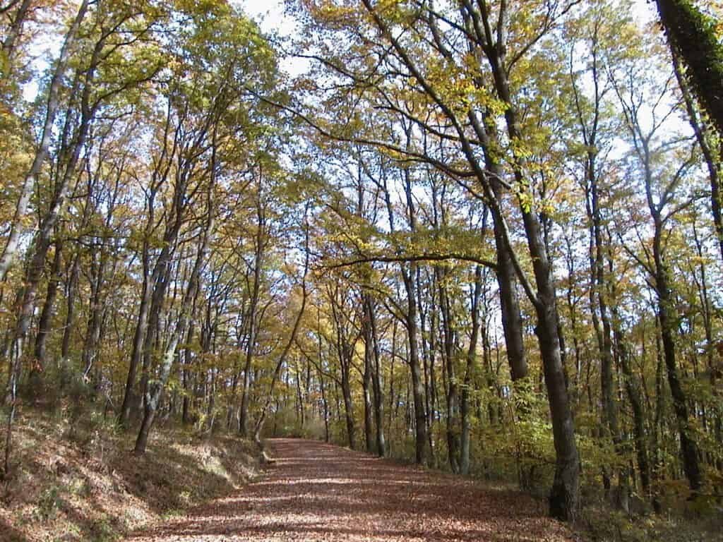 Parco Naturale Regionale di Bracciano - Martignano