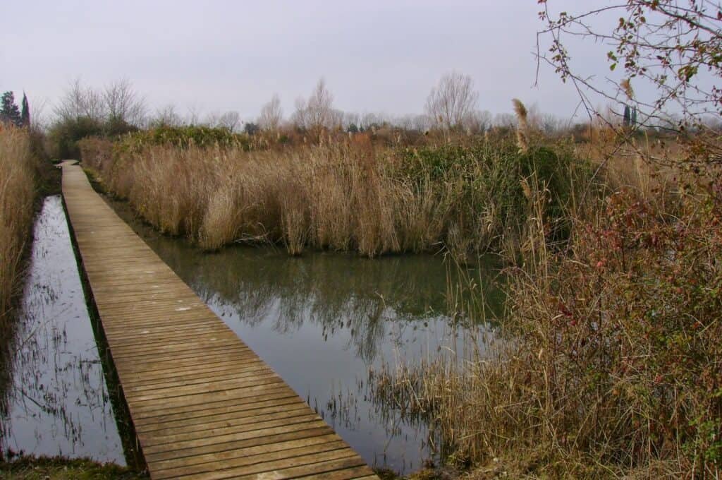 Parco Naturale Pantanello