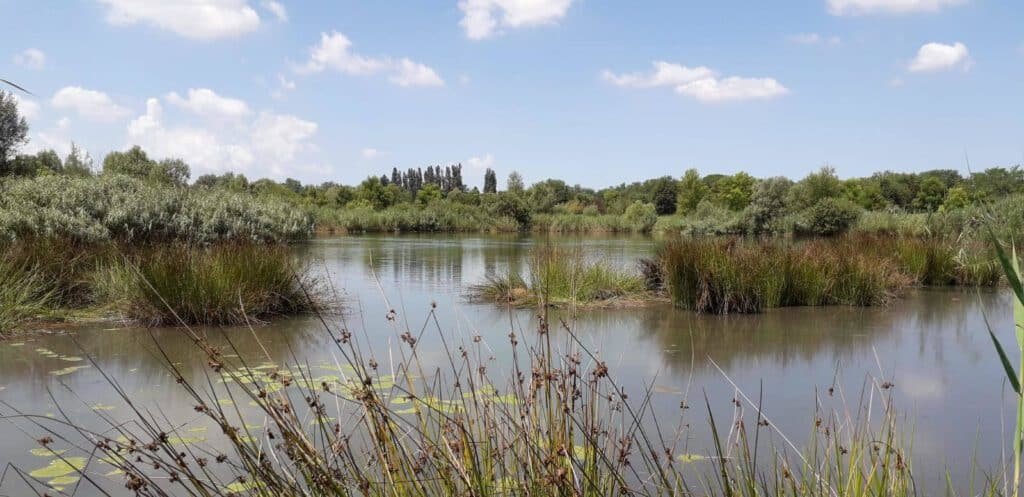 Parco Naturale Pantanello