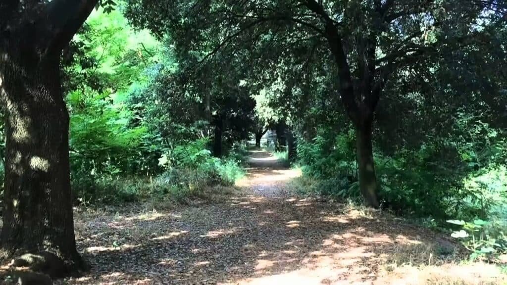 Parco Urbano di Aguzzano