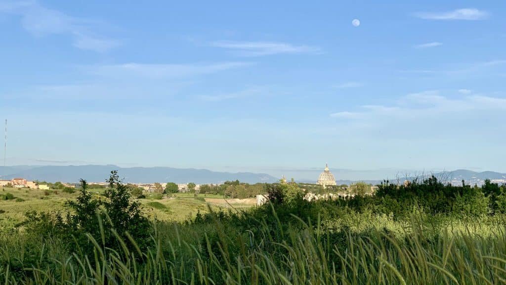 Parco regionale urbano del Pineto - Pineta Sacchetti
