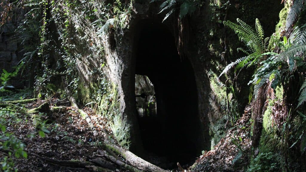 Pian Sant'Angelo di Corchiano - oasi WWF