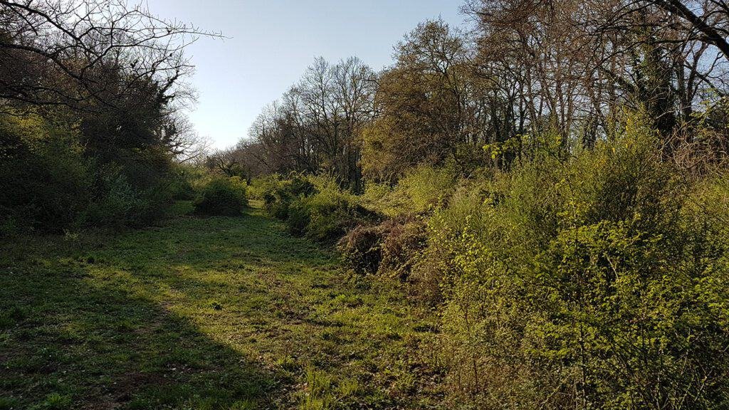 Pian Sant'Angelo di Corchiano - oasi WWF