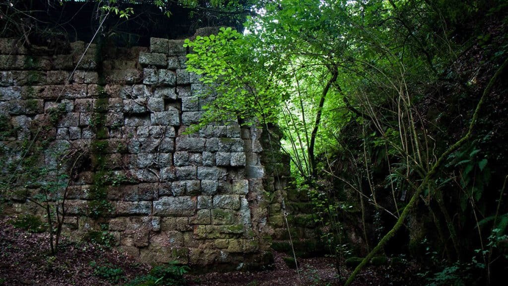 Pian Sant'Angelo di Corchiano - oasi WWF