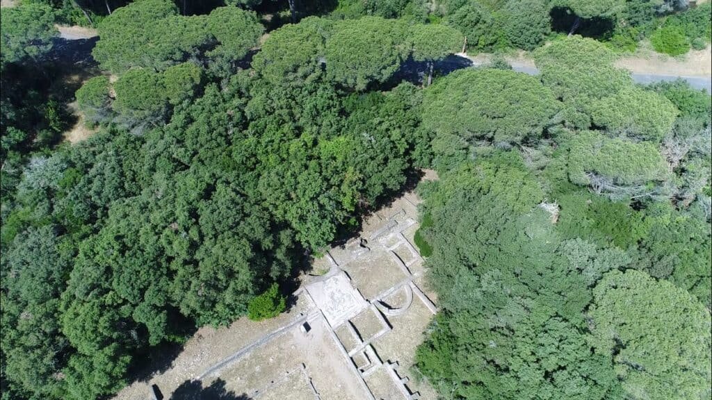 Pineta di Castel Fusano