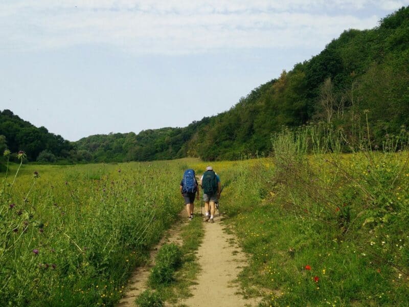 Riserva Naturale dell’Insugherata