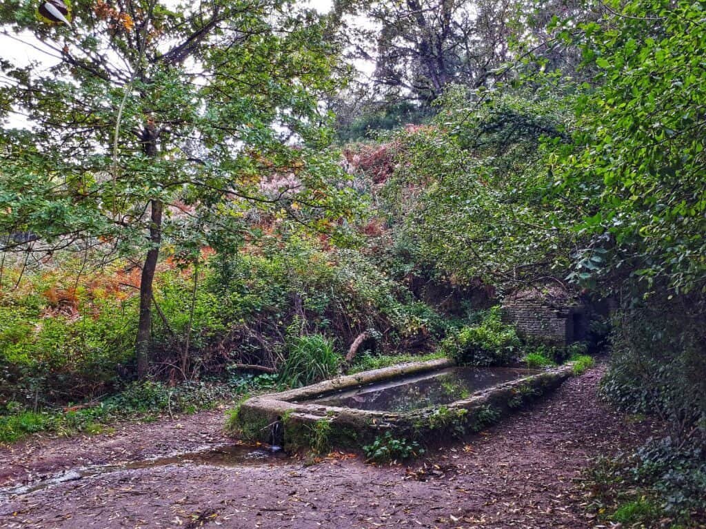 Riserva Naturale dell'Insugherata