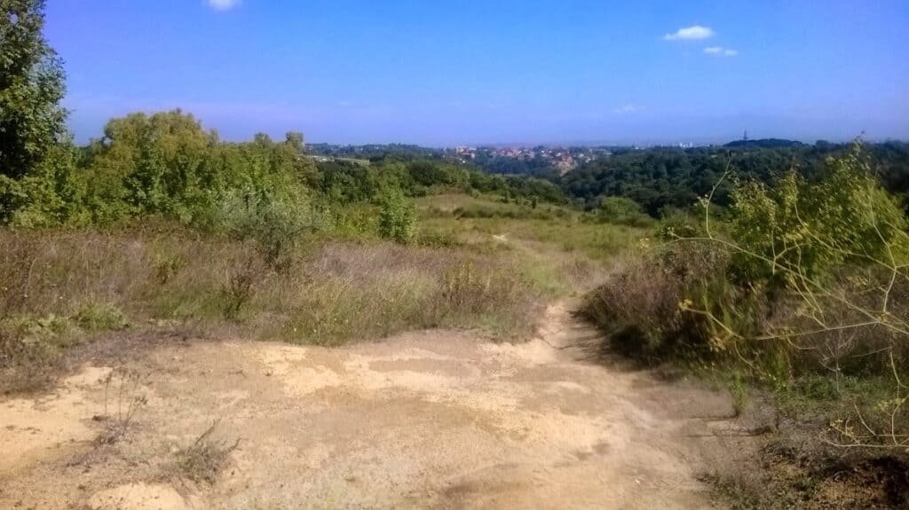 Riserva Naturale dell'Insugherata