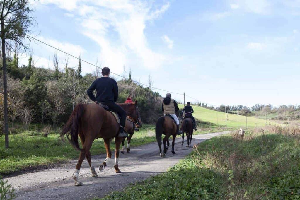Tenuta del Cavaliere