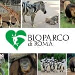Famiglie 121 Bioparco di Roma Zoo di Roma