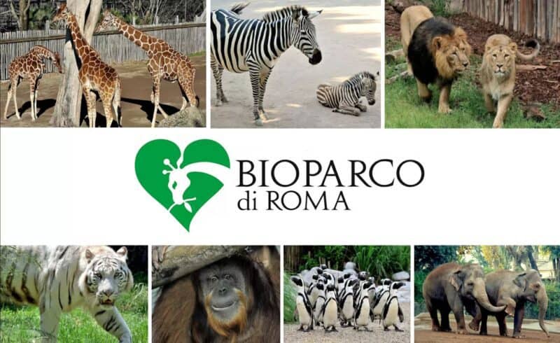 Bioparco di Roma
