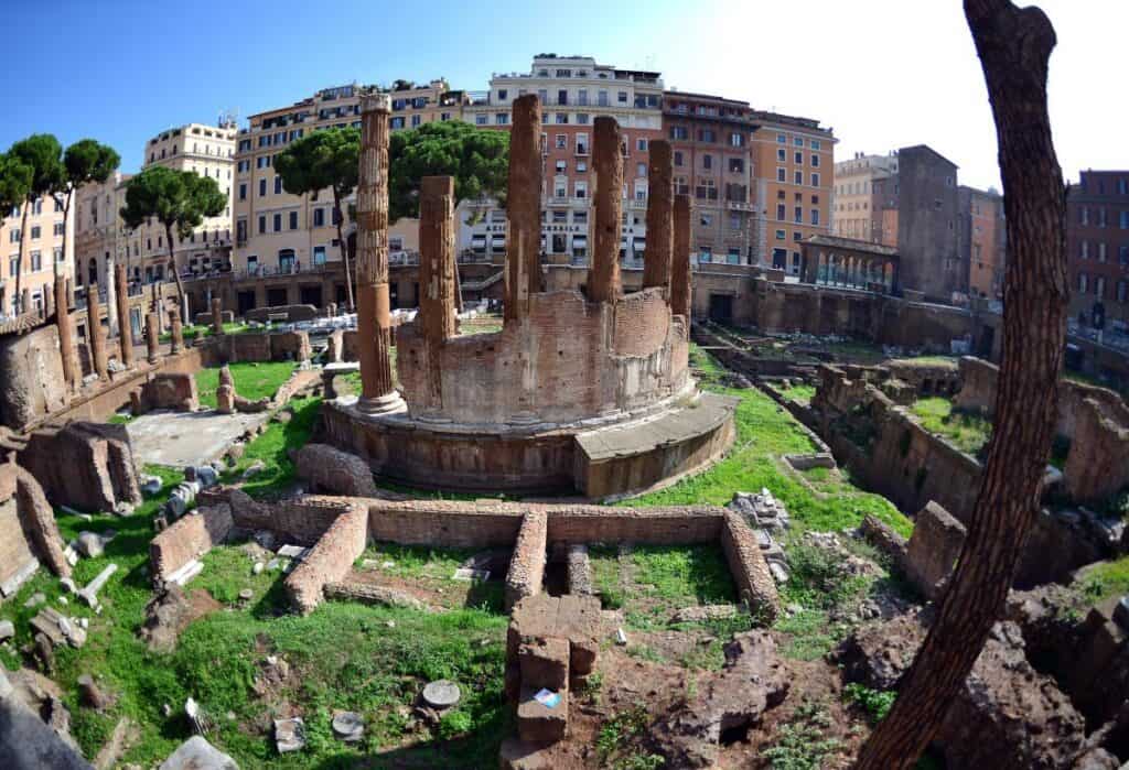 Largo Torre Argentina - Area Sacra del Campo Marzio