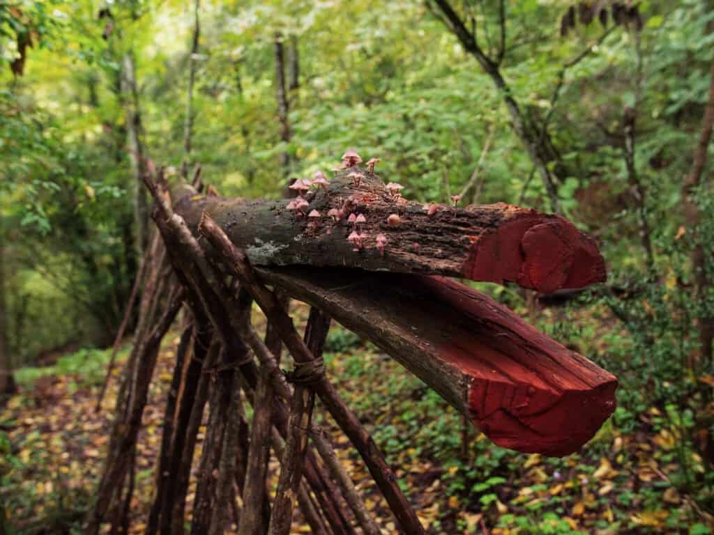Opera Bosco Museo di Arte nella Natura