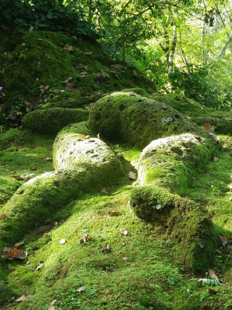 Opera Bosco Museo di Arte nella Natura