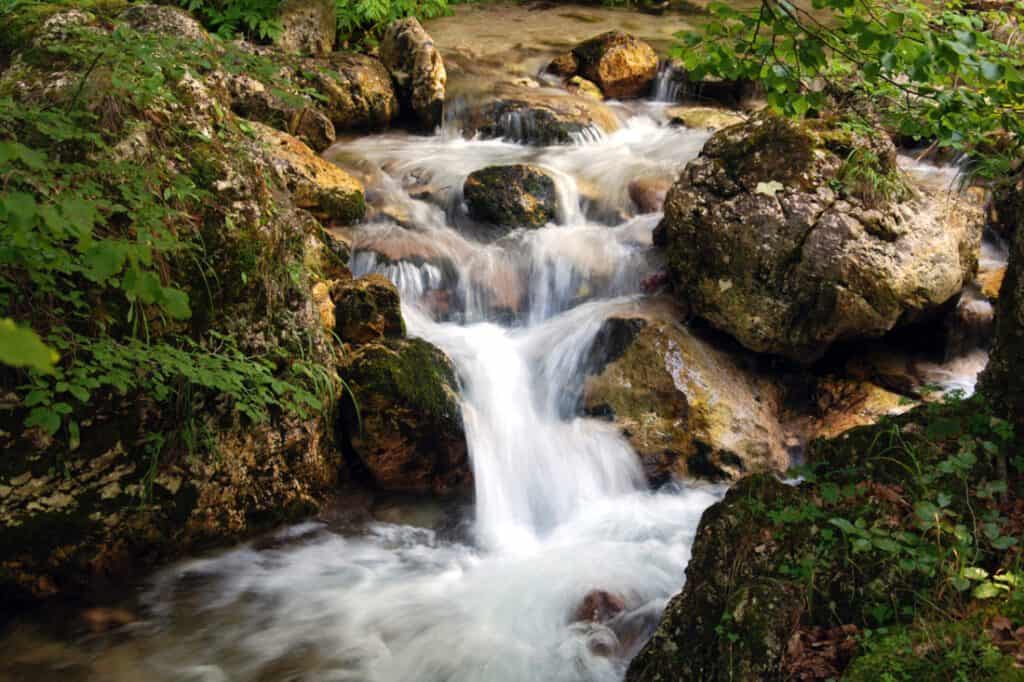 Riserva Naturale La Camosciara - Parco Nazionale d'Abruzzo, Lazio e Molise