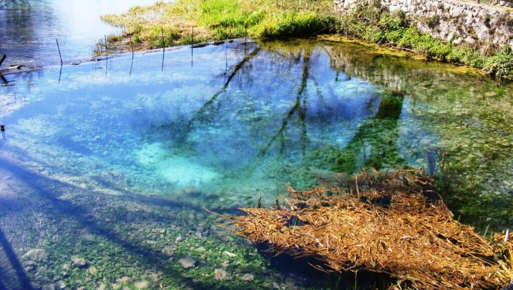 Riserva Naturale Lago di Posta Fibreno
