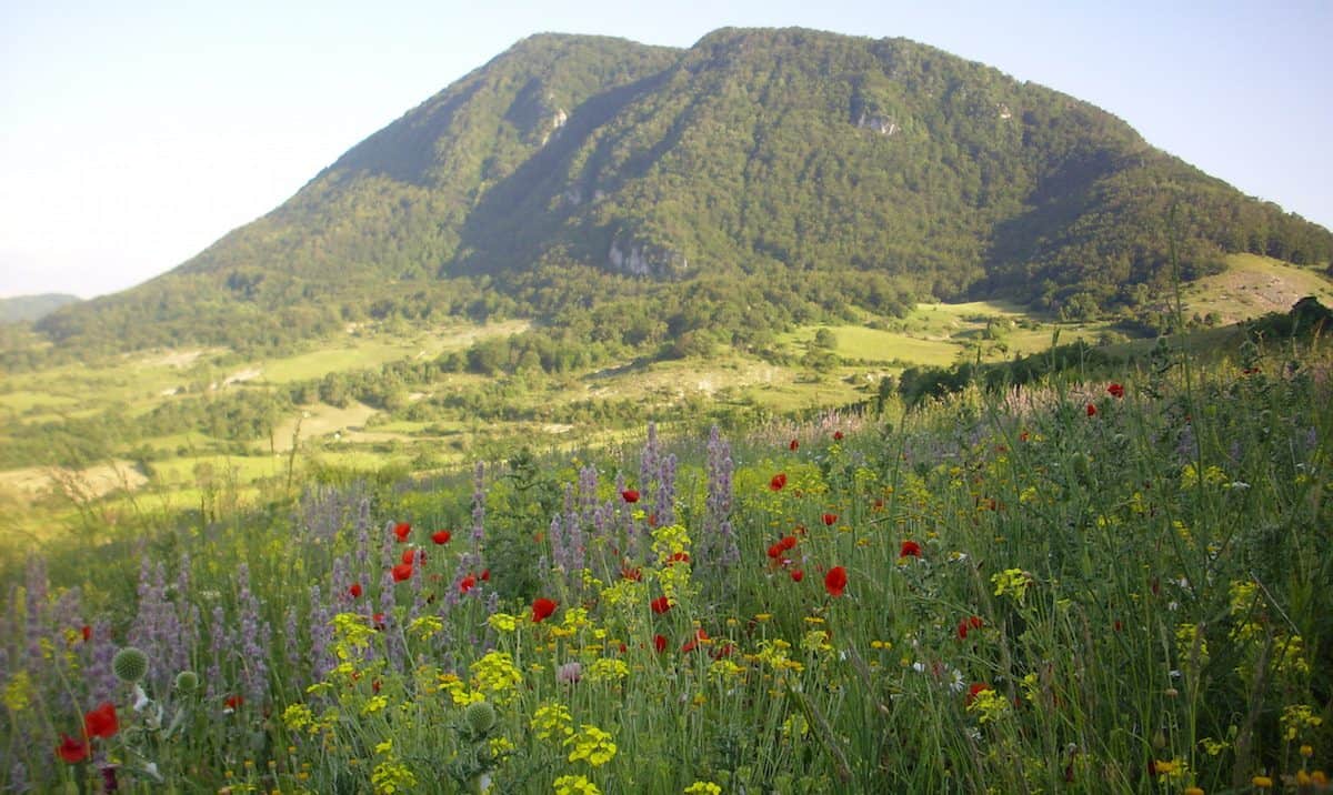 Riserva Naturale Monte Navegna E Monte Cervia (RI) Roma