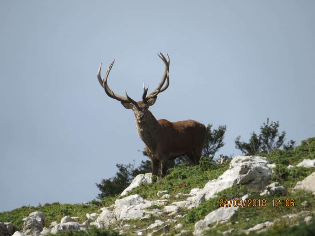 Riserva Naturale Regionale Montagne della Duchessa