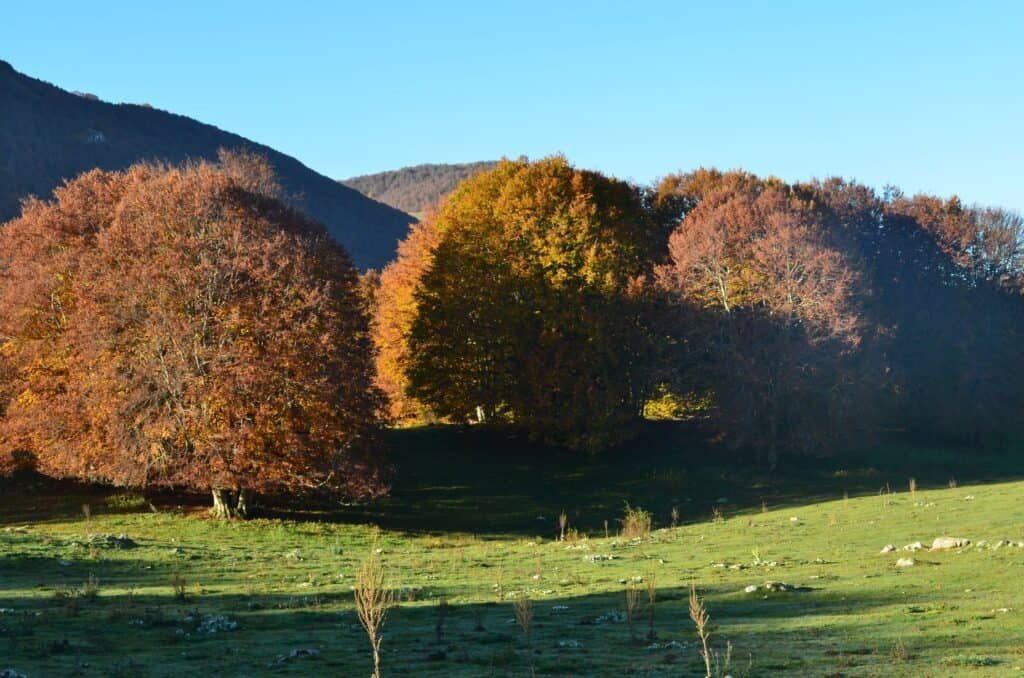 Riserva Naturale Regionale Montagne della Duchessa