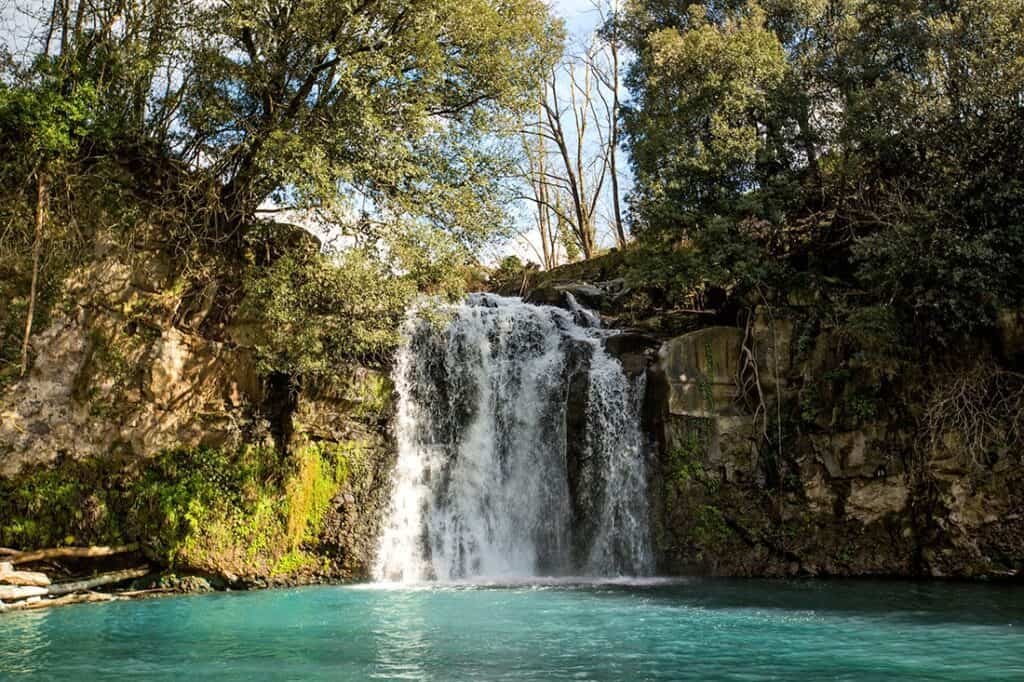Riserva Naturale Regionale Selva del Lamone