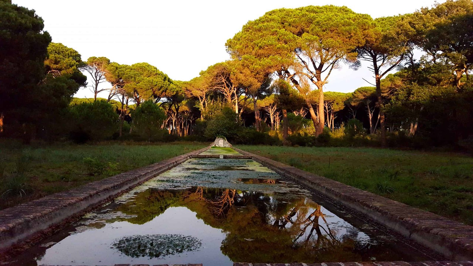 Riserva Naturale Statale Tenuta di Castelporziano