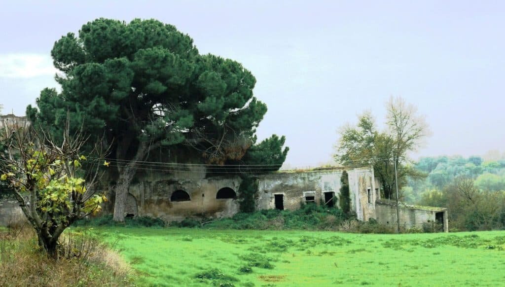 Riserva Naturale Valle dei Casali