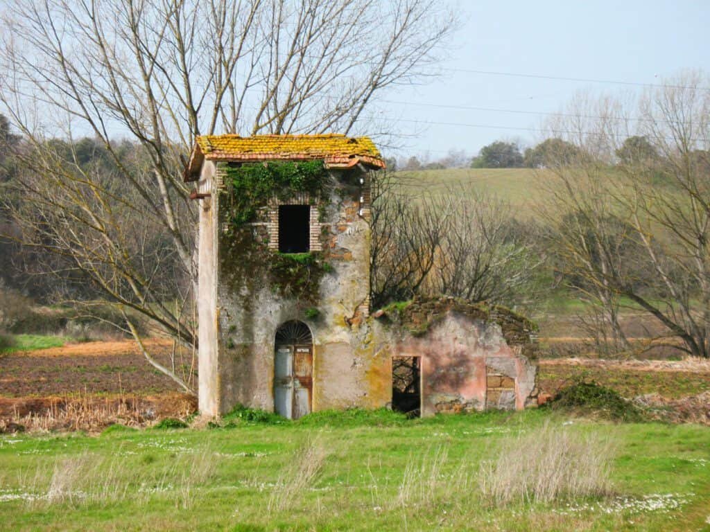 Tenuta dei Massimi