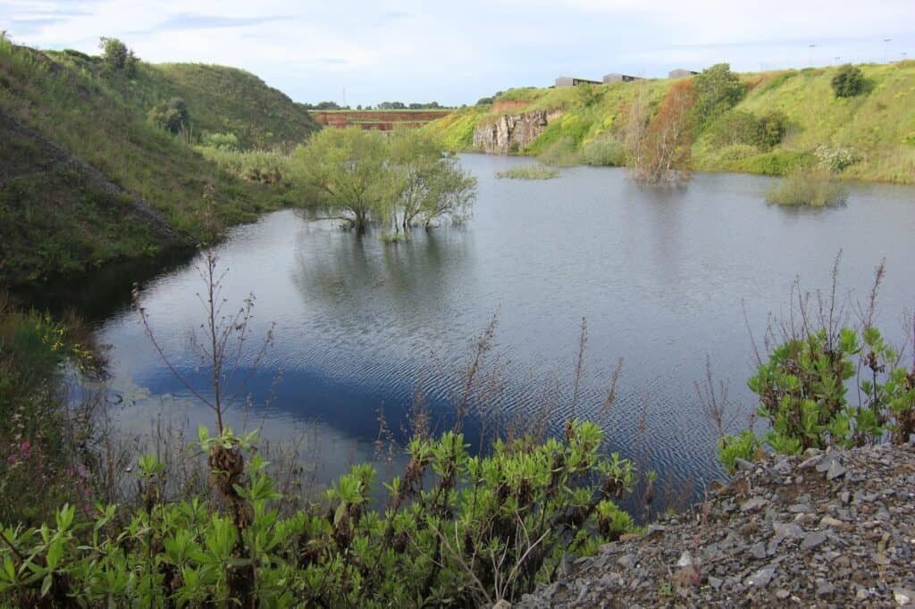 Riserva Naturale di Decima Malafede