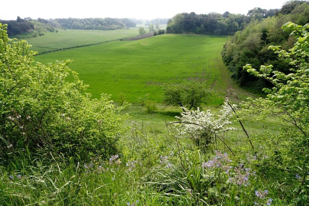 Riserva Naturale di Decima Malafede