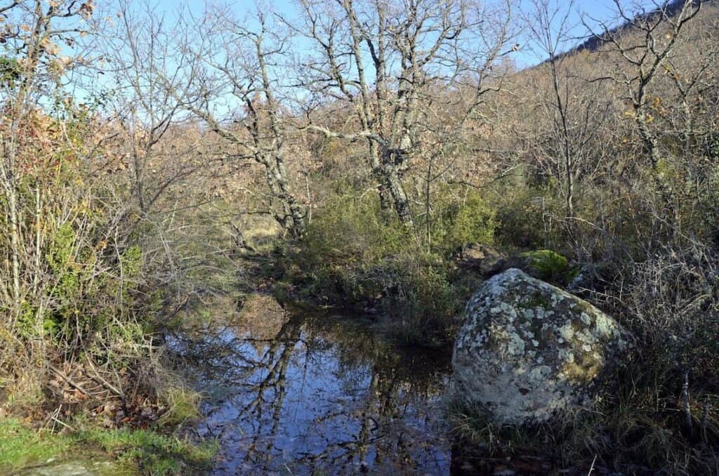Riserva naturale regionale Valle dell'Arcionello