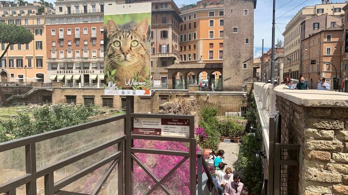 Santuario dei gatti di Largo Argentina