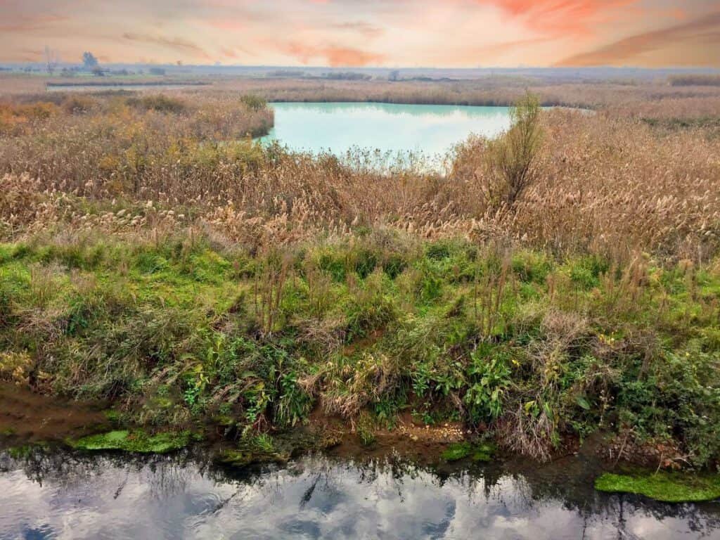 Laghi dei Gricilli (Laghi del Vescovo) - Pontinia (Latina)