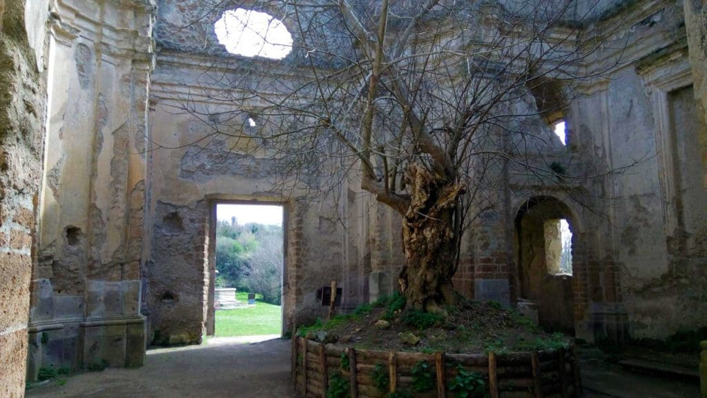 Antica Monterano - città fantasma nella riserva naturale 