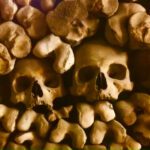 Arte Sacra - Luoghi di culto 138 Museo dei Frati Cappuccini e Cripta ossario 7 1