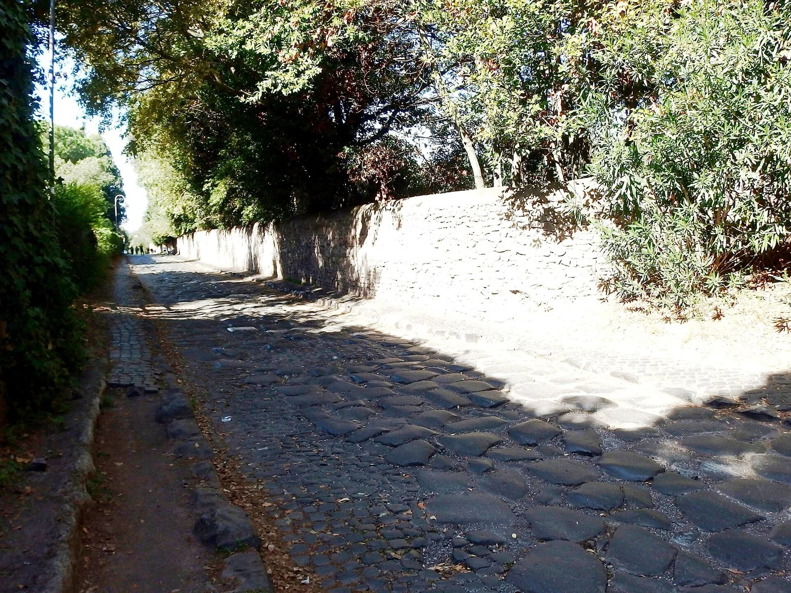 Cycling in Rome: The Bike Routes That Really Work 2 Cycling in Rome: The Bike Routes That Really Work 1